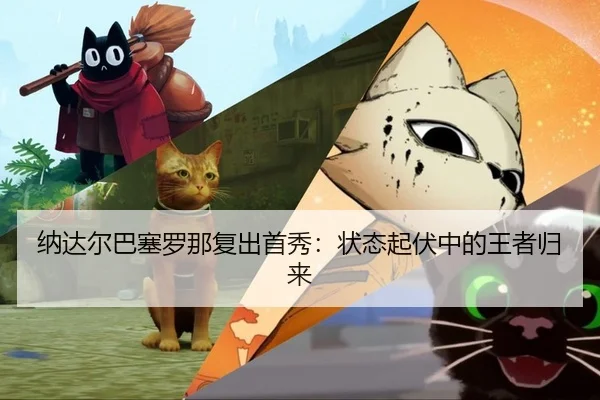 na-da-er-ba-sai-luo-na-fu-chu-shou-xiu-zhuang-tai-qi-fu-zhong-de-wang-zhe-gui-lai-2-942.jpg
